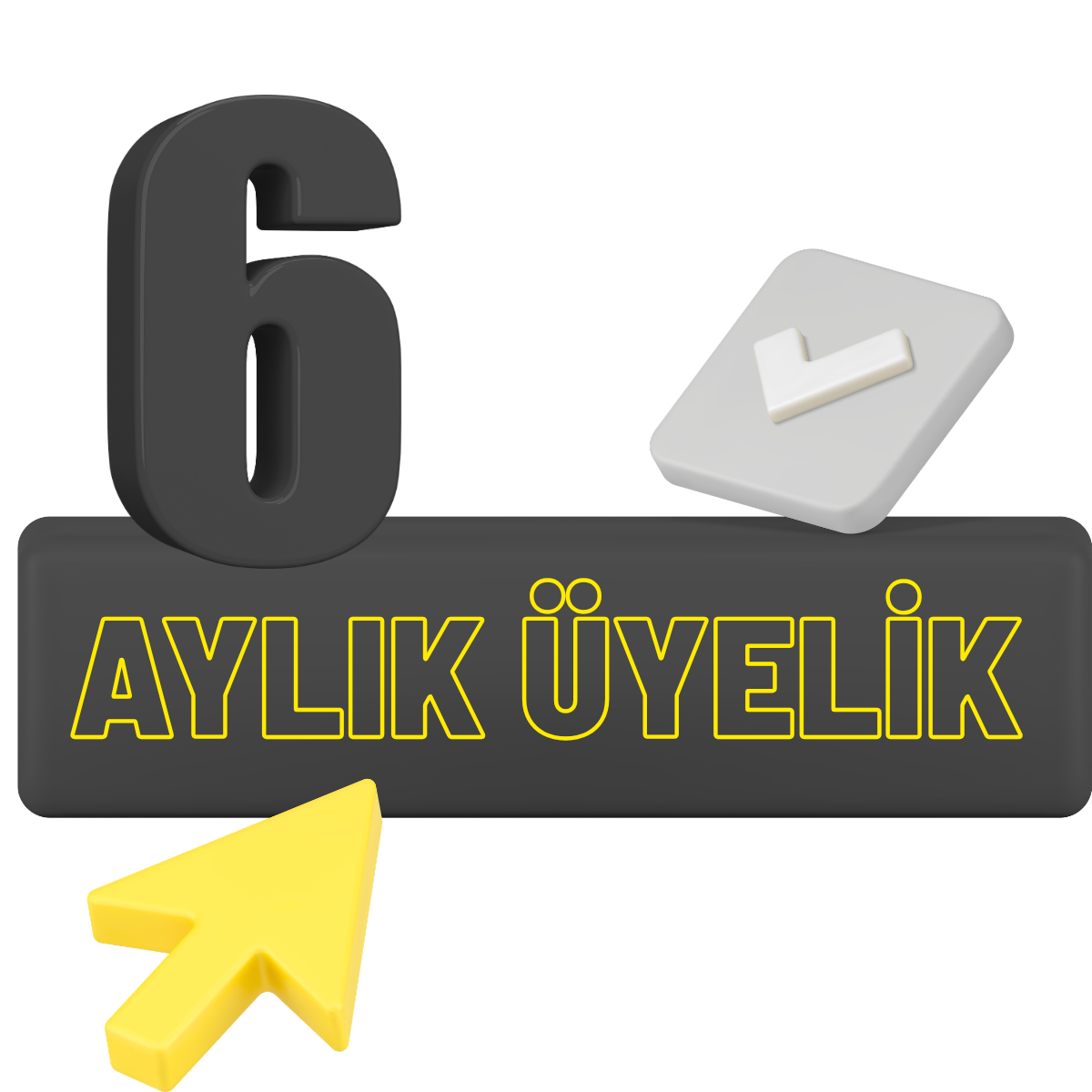 6 Aylık Üyelik