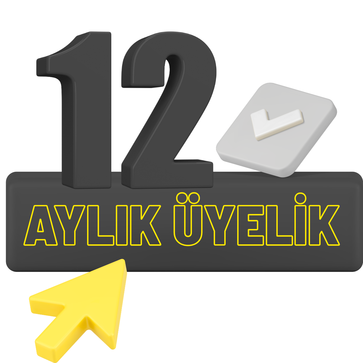 12 Aylık Üyelik