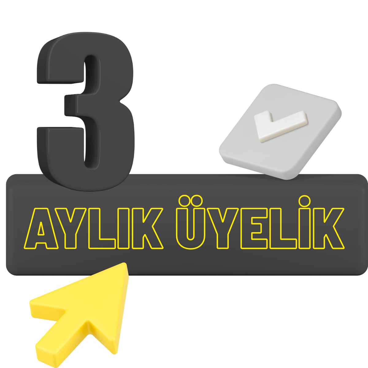 3 Aylık Üyelik
